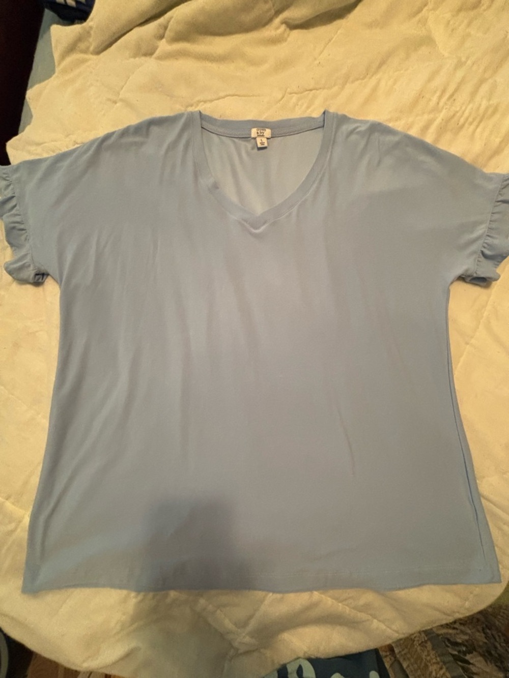 Everyday V-Neck Short Sleeve Top - Light Blue